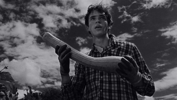 Home video by Patterned